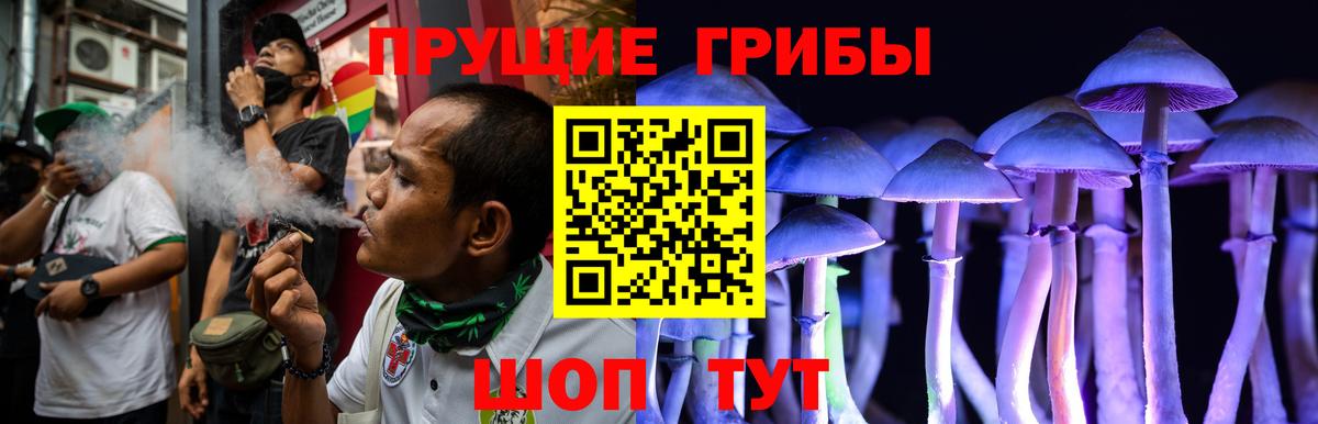 Железногорск  Псилоцибиновые грибы GOLDEN TEACHER  закладки  Вход с VPN 